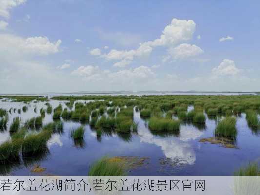 若尔盖花湖简介,若尔盖花湖景区官网